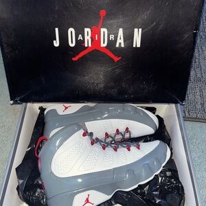 Air Jordan 9 Retro in Cool Gray and White